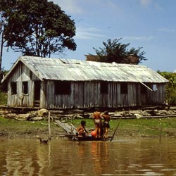 Amazonas Haus